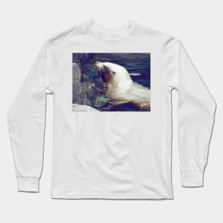 Cute Seal Long Sleeve T-Shirt